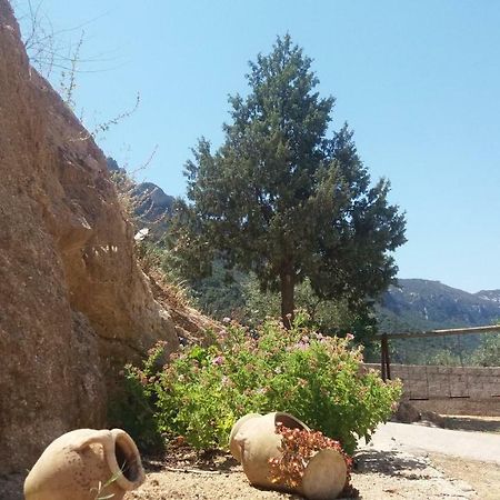 Gasthaus Casa Lucia Campagna Relax Dorgali Exterior foto